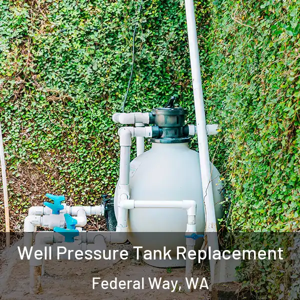  Well Pressure Tank Replacement Federal Way, WA